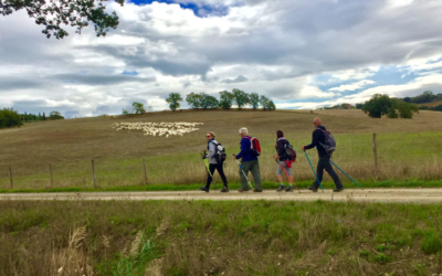 associazione camminare guarisce durante il cammino