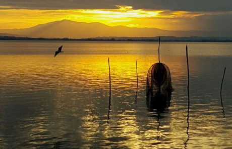 La Via del Trasimeno reti dei pescatori